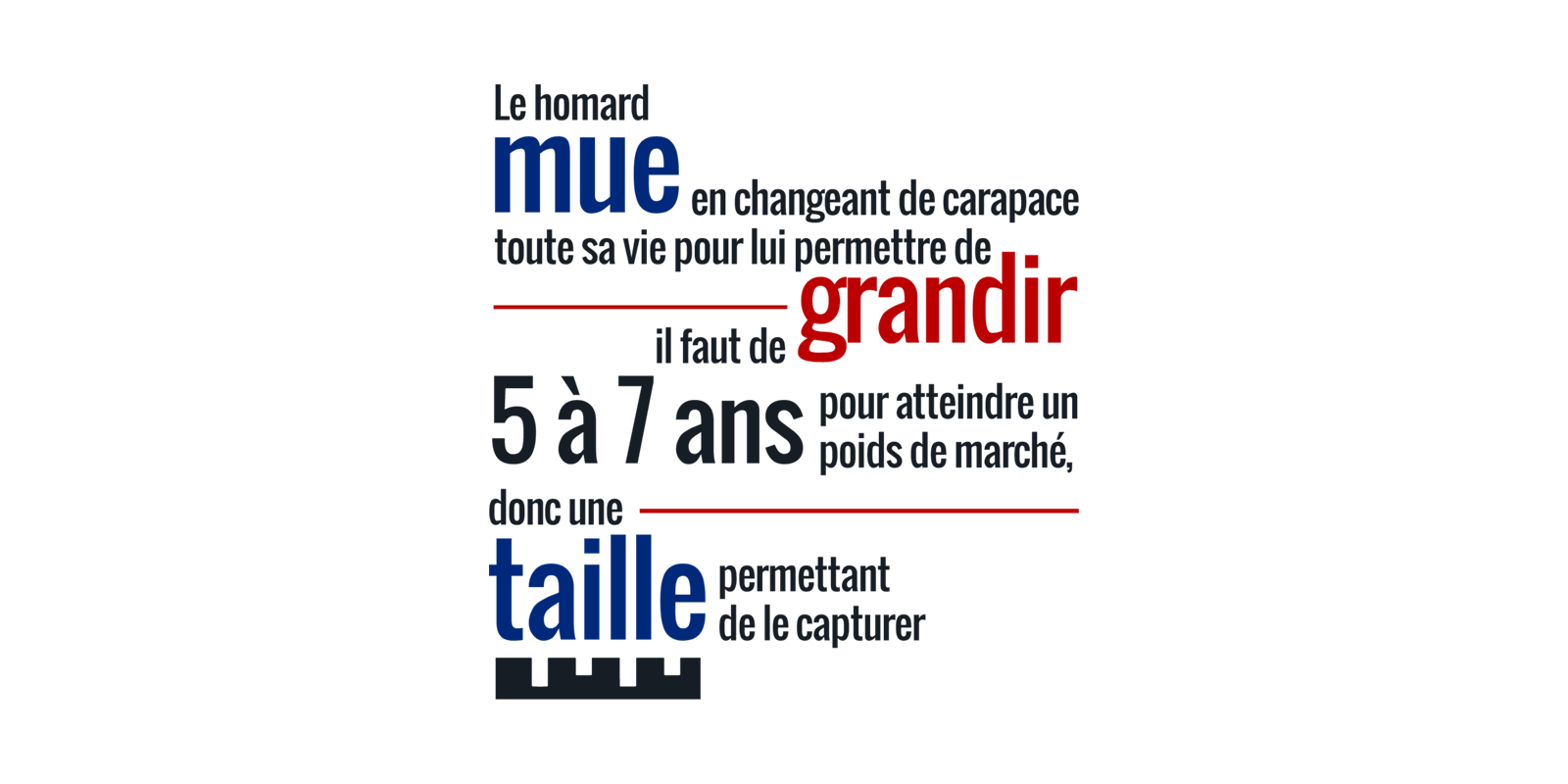Fact 9 -fr
